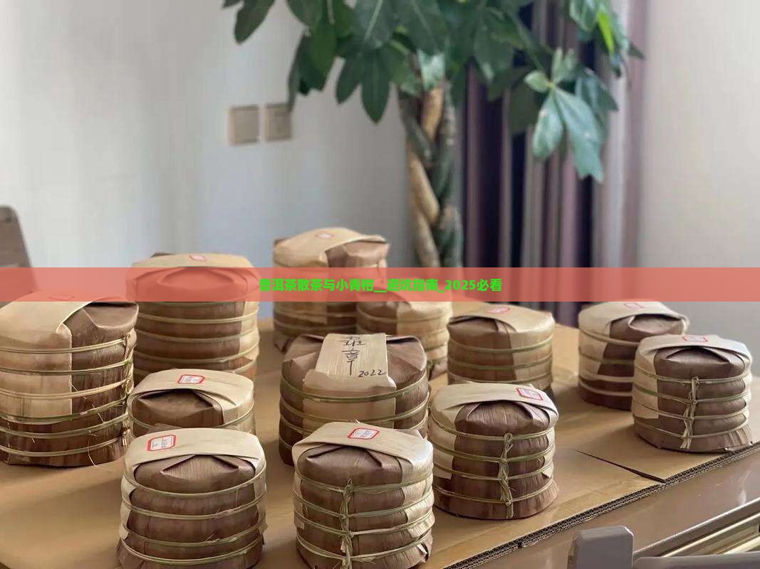普洱茶散茶与小青柑
