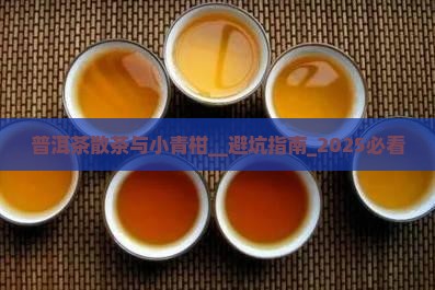 普洱茶散茶与小青柑