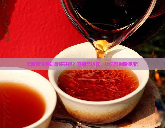 云南普洱茶对身体好吗