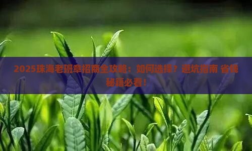 珠海知名老班章招商