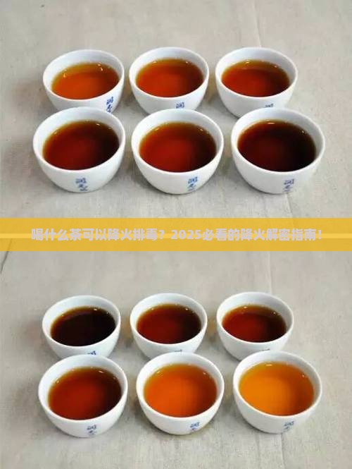 喝什么茶可以降火排毒
