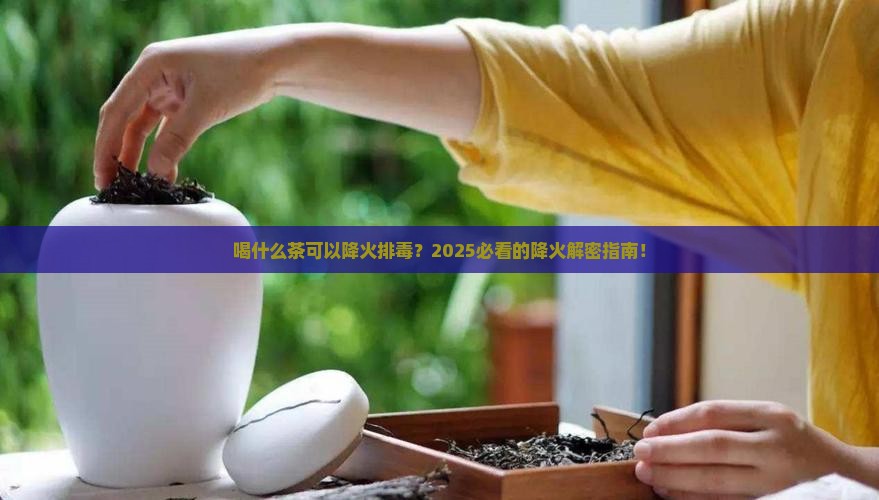 喝什么茶可以降火排毒