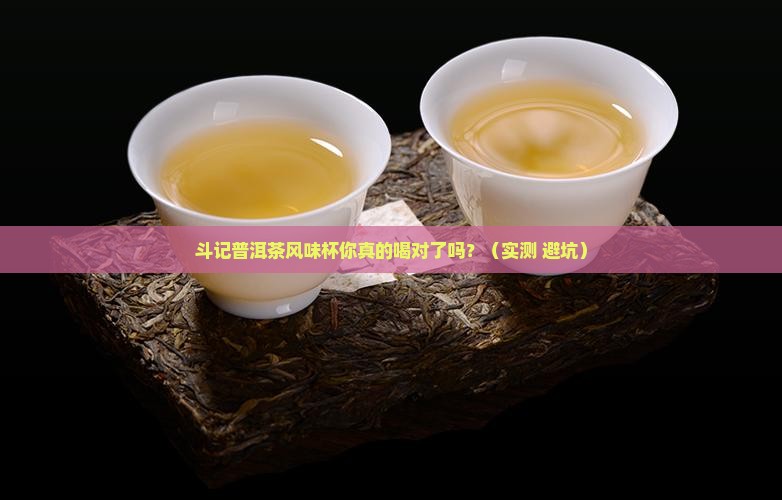 普洱茶斗记风味杯