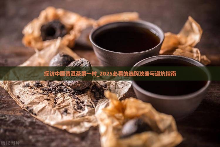 探访中国普洱茶第一村