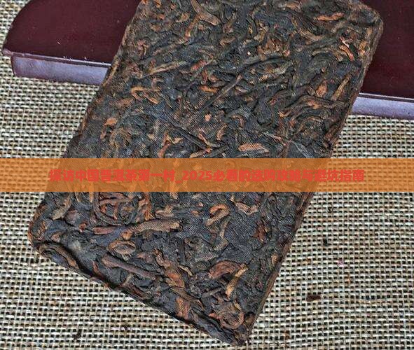 探访中国普洱茶第一村
