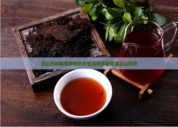 正山古树春茶饼老班章