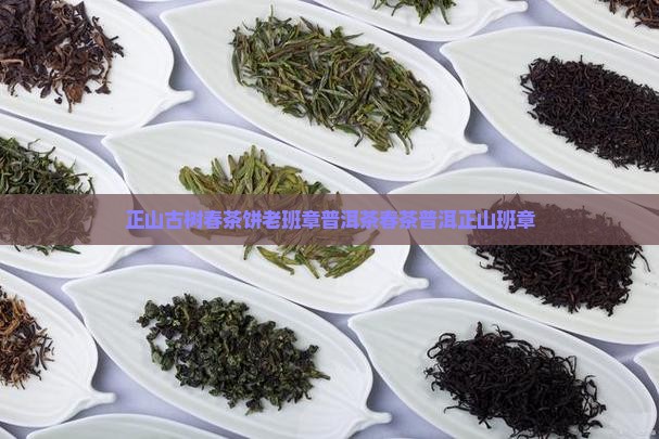 正山古树春茶饼老班章