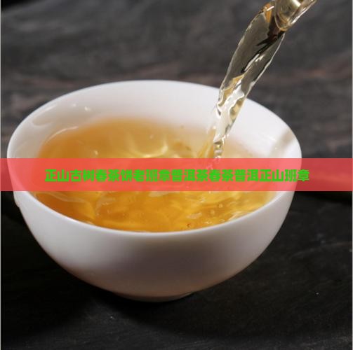 正山古树春茶饼老班章