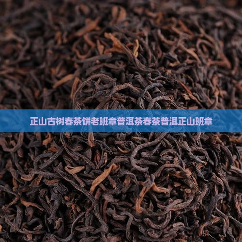 正山古树春茶饼老班章