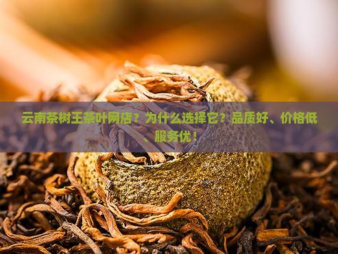 云南茶树王茶叶网店