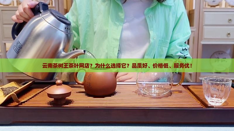 云南茶树王茶叶网店