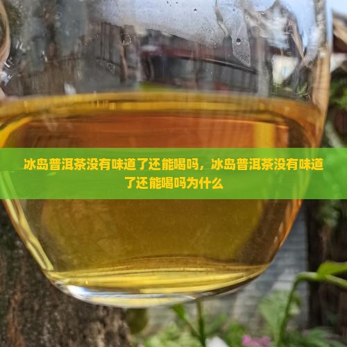 冰岛普洱茶没有味道了还能喝吗