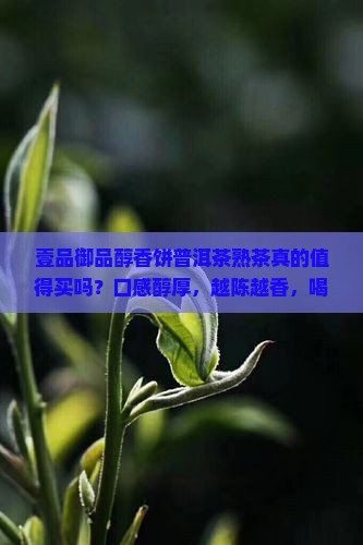 壹品御品醇香饼普洱茶熟茶
