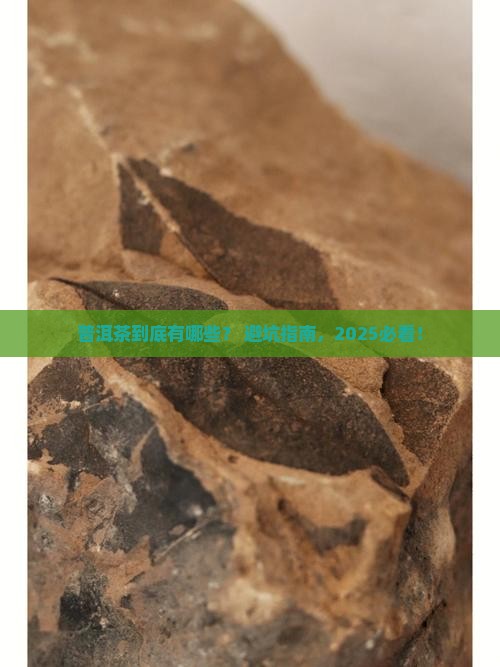 普洱茶世界上有哪些