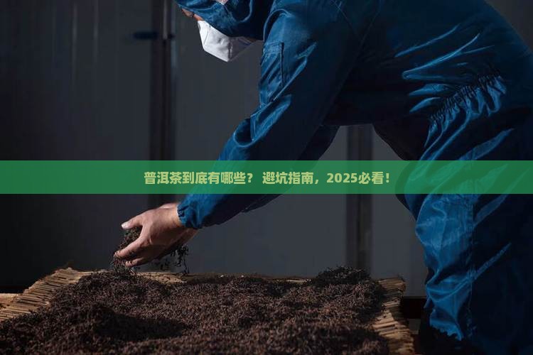 普洱茶世界上有哪些