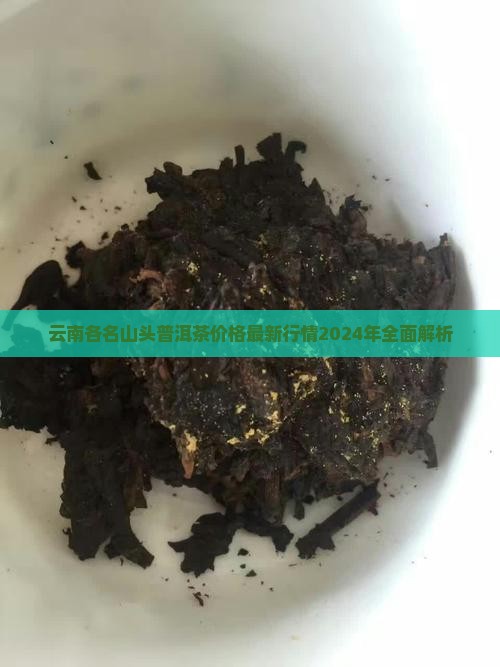 云南各名山头普洱茶价格