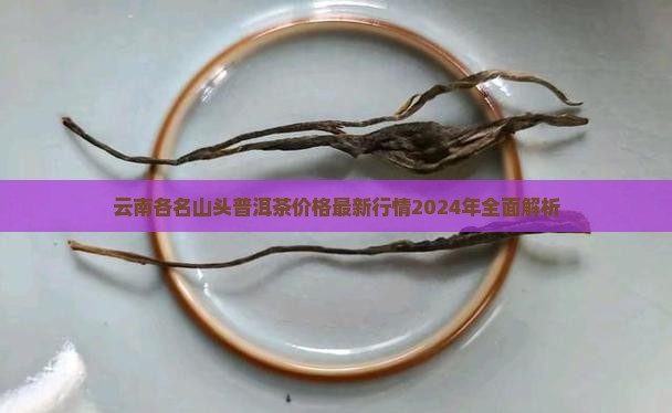云南各名山头普洱茶价格