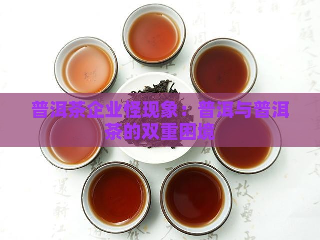 普洱茶企业的怪现象