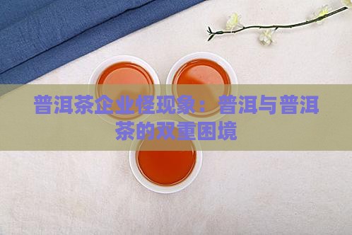 普洱茶企业的怪现象