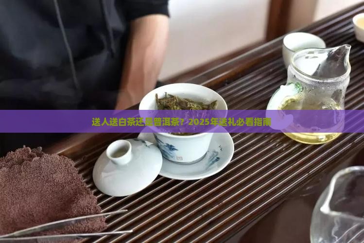 送人送白茶和普洱茶哪个好