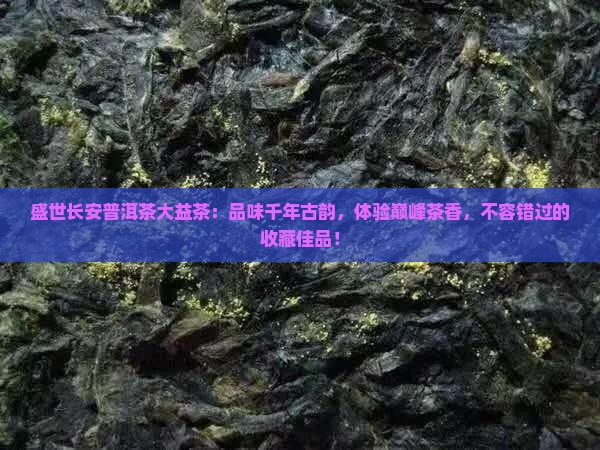 盛世长安普洱茶大益茶