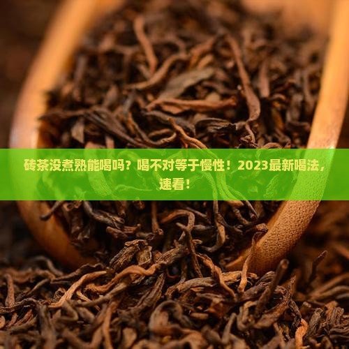 砖茶没煮熟能喝吗