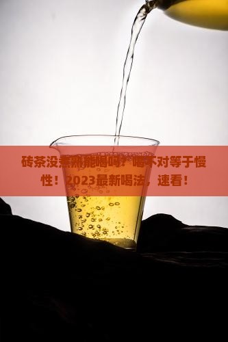 砖茶没煮熟能喝吗