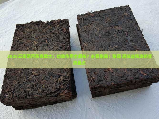 云南明月茶的功效与作用