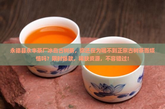 永德县永丰茶厂冰岛古树茶