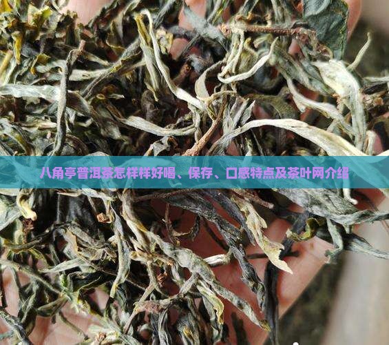 八角亭普洱茶怎样样