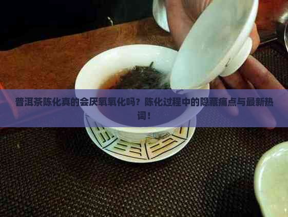 普洱茶陈化厌氧氧化反应