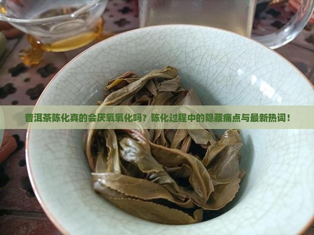 普洱茶陈化厌氧氧化反应