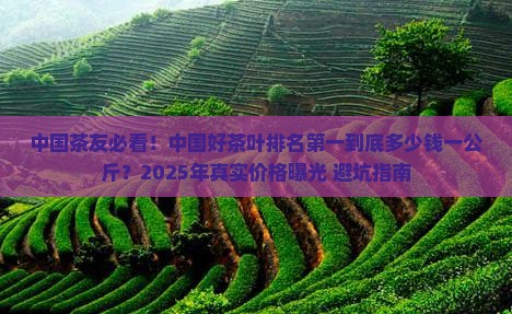 中国好茶叶排名第一多少钱一公斤