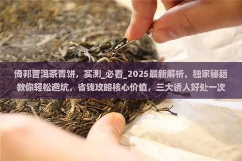 倚邦普洱茶青饼