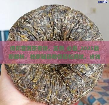 倚邦普洱茶青饼