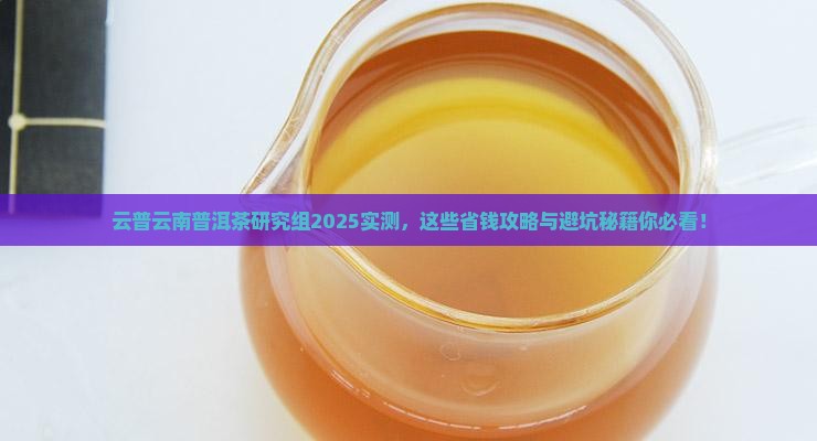云普云南普洱茶研究组