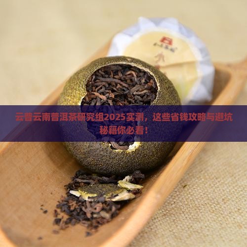 云普云南普洱茶研究组