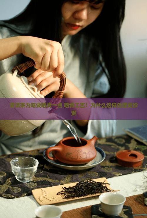 普洱茶为啥要晒青一点