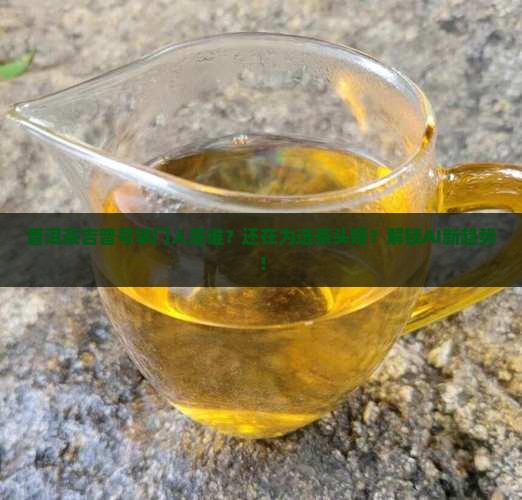 普洱茶吉普号掌门人 普洱茶吉普号掌门人