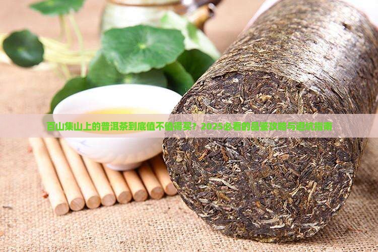 百山集山上的普洱茶
