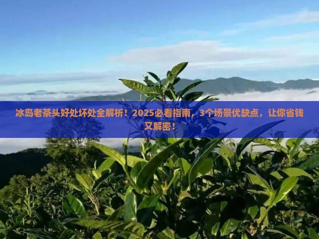 冰岛老茶头有什么好处和坏处