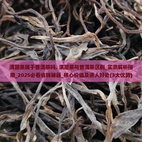 满愿茶属于普洱茶吗