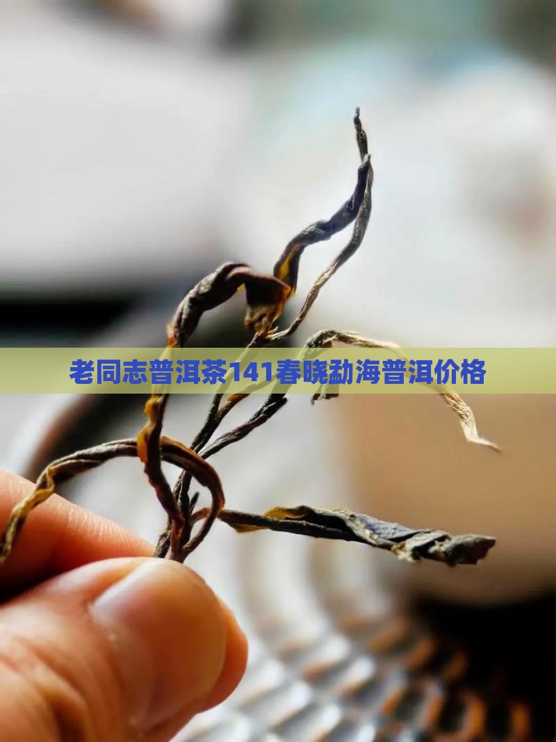 老同志普洱茶141春晓