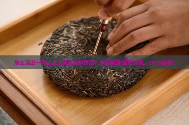 纯料普洱茶冲泡