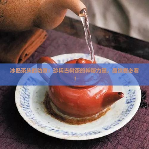 冰岛茶头的功效
