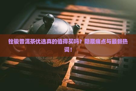 铨骏普洱茶优选