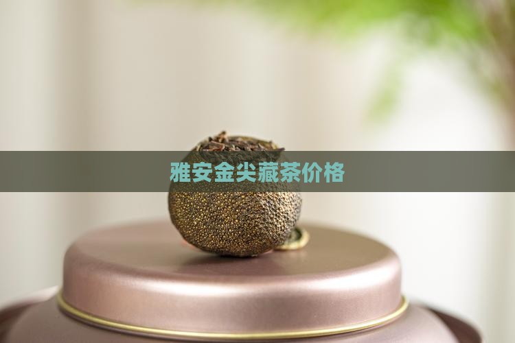 雅安金尖藏茶价格