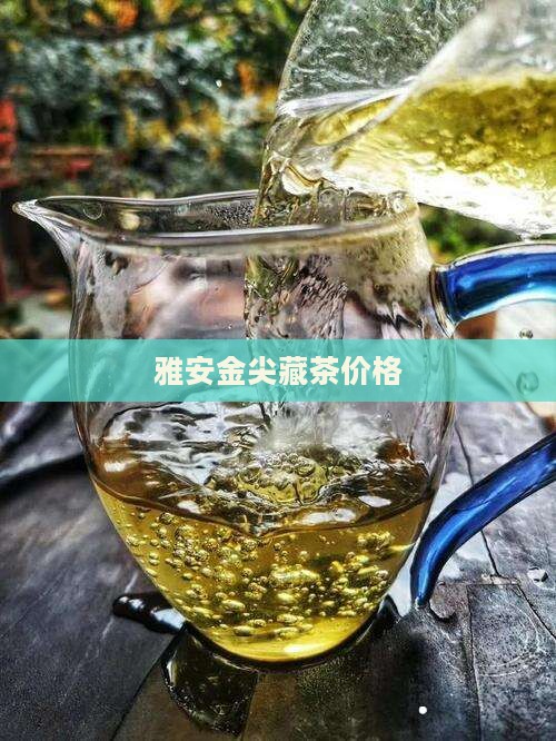雅安金尖藏茶价格