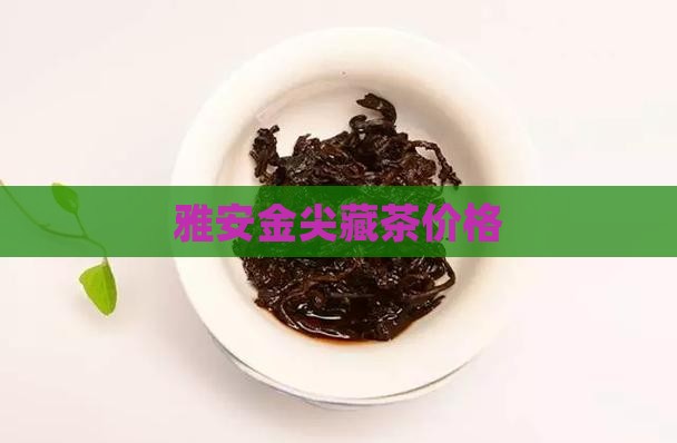 雅安金尖藏茶价格