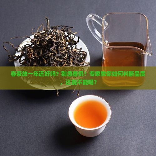 春茶放一年还好吗